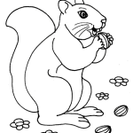 un-ecureuil-qui-mange-une-noisette