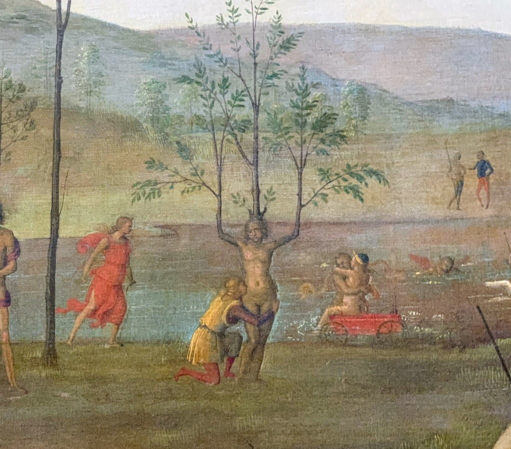 Apollon et Daphné Pérugin Lumières des étoiles